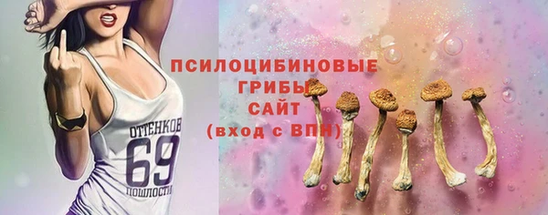 соль ск Белокуриха