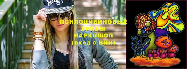 соль ск Белокуриха