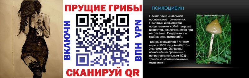 Псилоцибиновые грибы Psilocybine cubensis  Покровск 